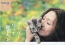 【中古】パンフレット ≪パンフレット(邦画)≫ パンフ)グーグーだって猫である