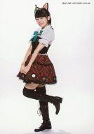 【中古】生写真(AKB48 SKE48)/アイドル/AKB48 ニャーKB with ツチノコパンダ/小嶋真子/サイズ(72mm×103mm)/CD「アイドルはウーニャニャの件」(AVCD-55093)封入特典