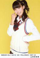 š̿(AKB48SKE48)/ɥ/NMB48 /NMB48B.L.T.2012 02 YELLOW23/067-B