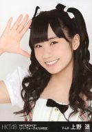 【中古】生写真(AKB48・SKE48)/アイドル/HKT48 上野遥/バストアップ/HKT48SHOP リバーウォーク北九州限定 ランダム生写真