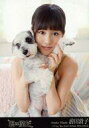 【中古】生写真(AKB48・SKE48)/アイドル/AKB48 前田敦子/屋内・犬/CD「君は僕だ」劇場盤特典