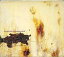 š͢γCD nine inch nails / the downward spiral[͢]