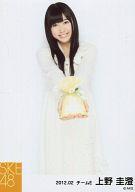 【中古】生写真(AKB48・SKE48)/アイドル/SKE48 上野圭澄/膝上・両手突き出し/SKE48 2012年2月度 個別生写真 「2012.02」「バレンタイン」