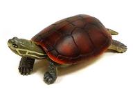 【中古】トレーディングフィギュア ミナミイシガメ 「原色図鑑シリーズ 原色爬虫類カメ目図鑑[新改訂版]」