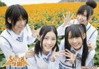 【中古】生写真(AKB48・SKE48)/アイドル/SKE48 中西・松井・須田・大矢/横型・ひまわり/DVD｢SKE48学園｣特典