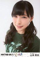 【中古】生写真(AKB48・SKE48)/アイドル/HKT48 山本茉
