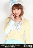 【中古】生写真(AKB48・SKE48)/アイド