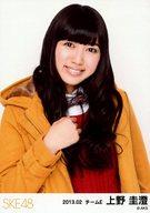 【中古】生写真(AKB48・SKE48)/アイドル/SKE48 上野圭澄/上半身/2013.02/公式生写真