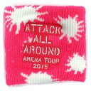 【中古】アクセサリー(非金属)(男性) 末吉秀太 リストバンド(桃) 「AAA ARENA TOUR 2015 10th Anniversary -Attack All Around-」(3)