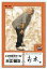 【中古】コレクションカード(男性)/Fandango! コレクションカード第4弾 ワイ!ワイ!ワイ!編Part.2 NO.131 : こりゃめでてーな/大江健次/Fandango! コレクションカード第4弾 ワイ!ワイ!ワイ!編Part.2 200円