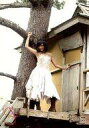【中古】生写真(AKB48・SKE48)/アイドル/NMB48 山本彩/DVD・BD「SY」Amazon.co.jp特典