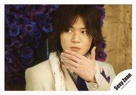 【中古】生写真(ジャニーズ)/アイドル/SexyZone SexyZone/菊池風磨/横型・バストアップ・衣装白・ネクタイ紫・左手顎・目線左・背景花/公式生写真