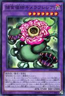 【中古】遊戯王/スーパーレア/ブースターSP-フュージョン・エンフォーサーズ- SPFE-JP009 [SR] ： 捕食植物キメラフレシア