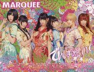【中古】音楽雑誌 MARQUEE 2015年2月号 Vol.107