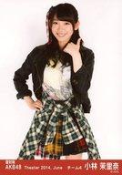 【中古】生写真(AKB48・SKE48)/アイドル/AKB48 『復刻