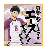 楽天市場】五色工（コレクション｜ホビー）の通販