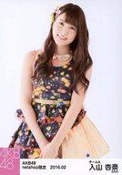 【中古】生写真(AKB48 SKE48)/アイドル/AKB48 入山杏奈/膝上/AKB48 2016年2月度 net shop限定個別生写真 「2016.02」「恋チュン衣装」