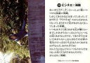 【中古】コレクションカード(男性)/CD「鈴村健一の超人タイツ ジャイアント」特典トレカ 289 : 鈴村健一/ピンチだ!神剛/CD「鈴村健一の超人タイツ ジャイアント」特典トレカ