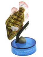 【中古】トレーディングフィギュア オヤニラミ 「京都水族館フィギュアコレクション」
