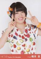 【中古】生写真(AKB48・SKE48)/アイドル/HKT48 梅本泉/上半身/劇場トレーディング生写真セット2014. November