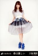 【中古】生写真(乃木坂46)/アイドル/乃木坂46 川後陽