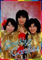 【中古】パンフレット(ライブ・コンサート) ≪パンフレット(ライブ)≫ パンフ)Goodbye Candies