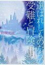 【中古】ライトノベル(文庫) ≪女性向け≫ ■)選ばれしものたちの受難と冒険 少年陰陽師パラレル現代版 特典 / 結城光流【中古】afb