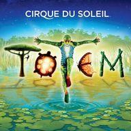 輸入その他CD CIRQUE DU SOLEIL / TOTEM