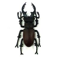 【中古】食玩 トレーディングフィギュア 10.ミヤマクワガタ 「世界の昆虫 第一集」