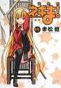 【中古】B6コミック 魔法先生ネギま!(新装版)(完)(19) / 赤松健