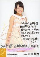 【中古】生写真(AKB48・SKE48)/アイドル/SKE48 山田樹