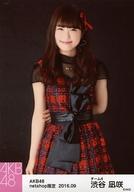 【中古】生写真(AKB48・SKE48)/アイドル/AKB48 渋谷凪咲/膝上/AKB48 2016年9月度 net shop限定個別生写真「2016.09」「唇にBe My Baby」