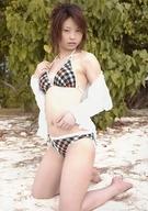 【中古】生写真(女性)/グラビアアイドル 小阪日向/全身・水着黒・オレンジ・チェック柄・膝立ち/DVD「first challenge」特典生写真