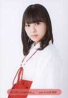 【中古】生写真(AKB48・SKE48)/アイド