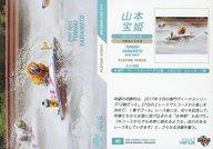 ͥåȥå׽ٲϲŷԾŹ㤨֡šBBM/쥮顼/-/ܡȥ졼/BBM2018 㥤˥󥰥ʥ 80 [쥮顼]  ɱפβǤʤ200ߤˤʤޤ