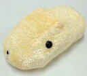【中古】ぬいぐるみ ホワイトさん もふっとカピバラさん 「カピバラさん」(3)