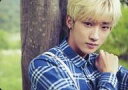 【中古】コレクションカード(男性)/B1A4 2014 WORLD TOUR「ROAD TRIP to Japan-Ready?」グッズトレカ B1A4/ジニョ...