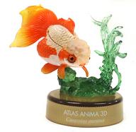 【中古】トレーディングフィギュア 金魚 「世界博物画立体図鑑I」 新江ノ島水族館限定