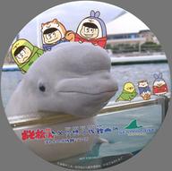 【中古】バッジ・ピンズ(キャラクター) おそ松&カラ松&チョロ松 缶バッジ 「おそ松さん×空想水族館 in 横浜・八景島シーパラダイス」 フォトスポットラリー特典