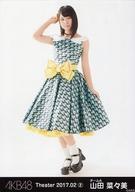 【中古】生写真(AKB48・SKE48)/アイドル/AKB48 山田菜々美/全身/AKB48 劇場トレーディング生写真セット2017.February2 「2017.02」