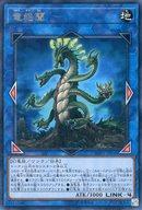 šͷ/R/󥯥󥹥/롦ե塼 SOFU-JP048[R]ε