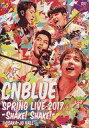 【中古】洋楽DVD CNBLUE / CNBLUE SPRING LIVE 2017-Shake!Shake!-＠OSAKA-JO HALL