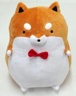 楽天市場】たる し ば ぬいぐるみの通販