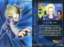 【中古】アニメ系トレカ/N/ドラゴンボールカードウエハース UNLIMITED2 2449039 06 N ： 人造人間18号