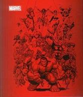 【中古】アニメ雑誌 マーベル・ファクト・ファイル全国版 2冊バインダー