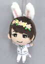 【中古】ぬいぐるみ 西山宏太朗(タキシード) 〜うさぎポンチョ&タキシードver.〜ぬいぐるみ 「ひょろっと男子」 アドアーズ・セガ・ナムコ限定(3)