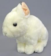 ����š̤ۤ������ Japanese Hare(Winter coat) -�˥ۥ�Υ�����(����)- �ꥢ�륢�˥ޥ�٥��ӡ� �ɤ��֤Ĥ̤������ ��NATURE...