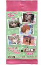 【中古】トレカ ガールズ&パンツァー 劇場版 ぱしゃこれ B-BOX
