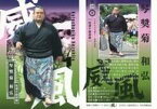 【中古】BBM/レギュラーカード/威風/BBM2019 大相撲カード「風」 54 [レギュラーカード] ： 琴奨菊 和弘