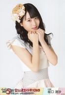 【中古】生写真(AKB48・SKE48)/アイドル/AKB48 坂口渚沙/上半身/「AKB48チーム8結成5周年記念コンサート in 河口湖ステラシアター 富士山麓エイト祭り 2019」ランダム生写真